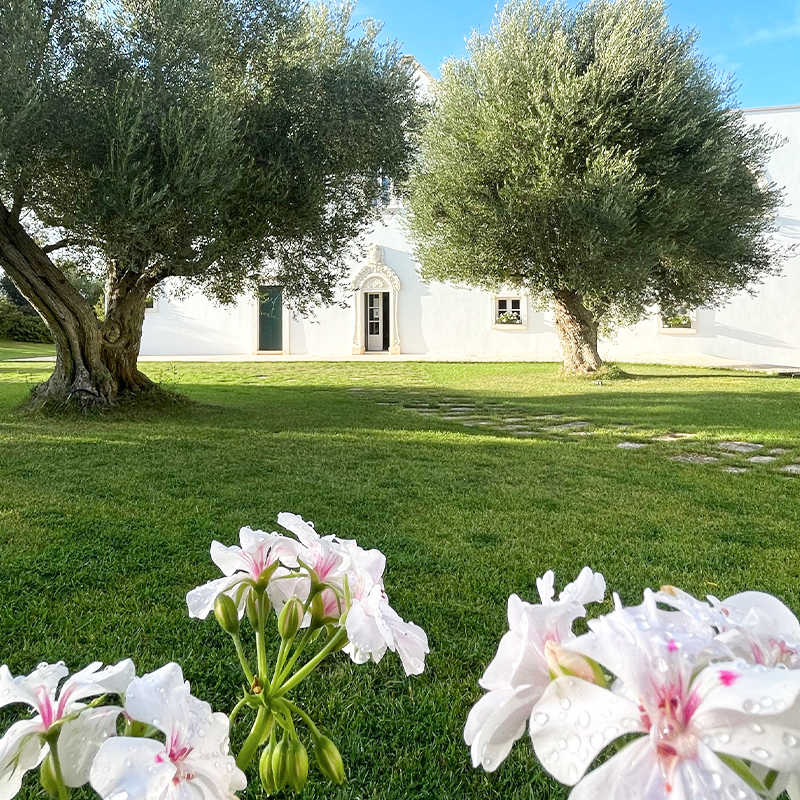 Masseria-Magli (35)